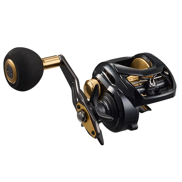 シ-ホ-ク TW エントウ